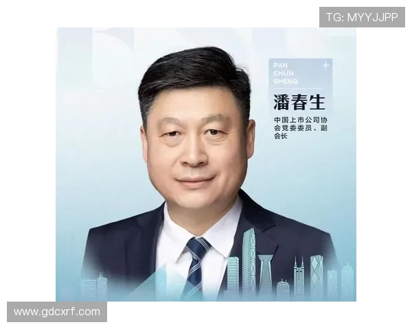 聚焦民营企业家在数字化转型中的创新驱动高质量发展路径系统研究